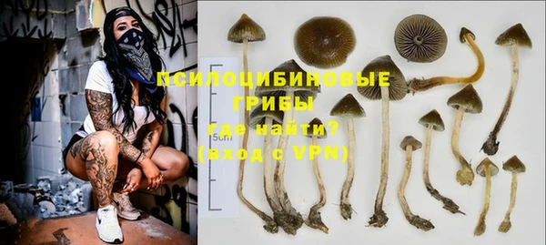 МДПВ Заволжье